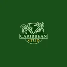 Caribbean Stud free play