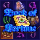 Book of Fortune Slot free play