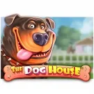 The Dog House Slot free play