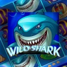 Wild Shark Slot free play