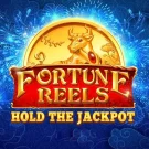 Fortune Reels Slot free play