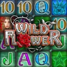 Wild Flower Slot free play