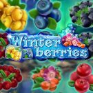 Winterberries Slot free play