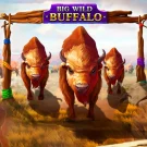Big Wild Buffalo free play